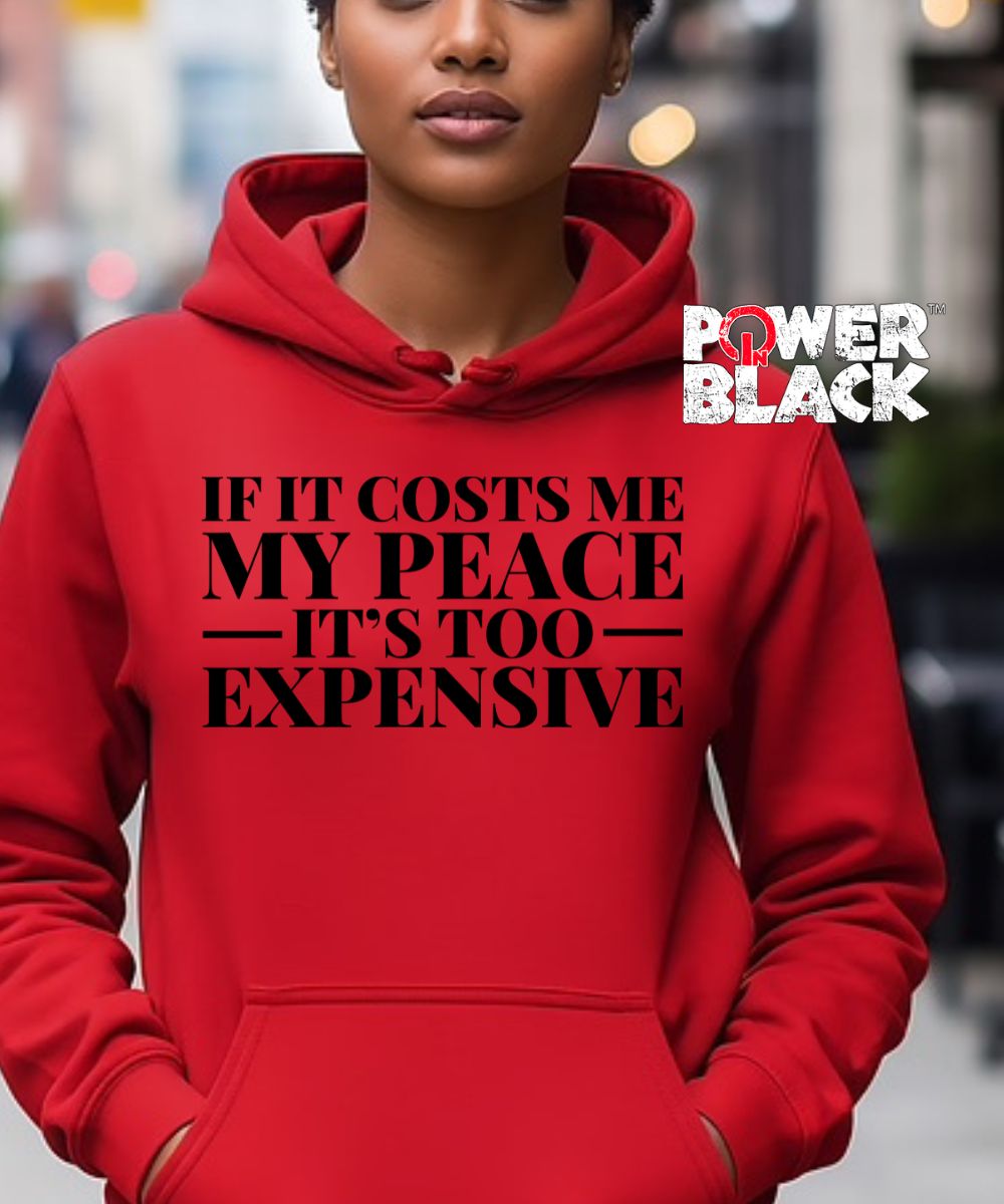 It's Too Expensive Hoodie