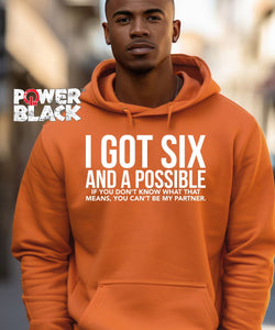 Six & A Possible Hoodie  - ONE DAY SALE