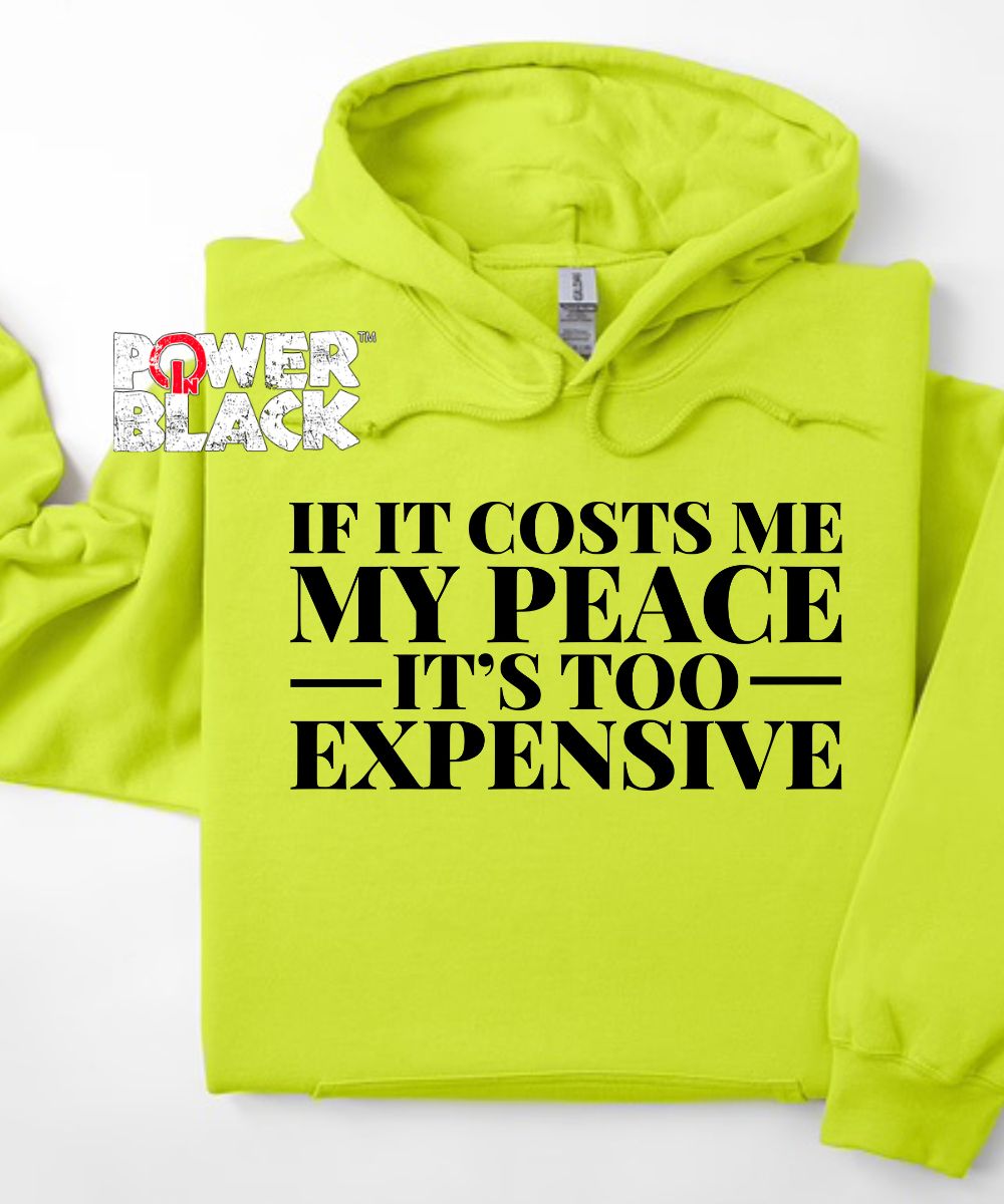 It's Too Expensive Hoodie
