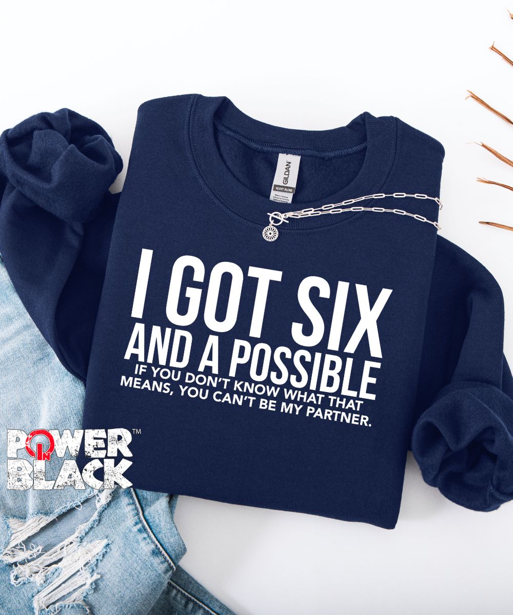 Six & A Possible Sweatshirt  - ONE DAY SALE