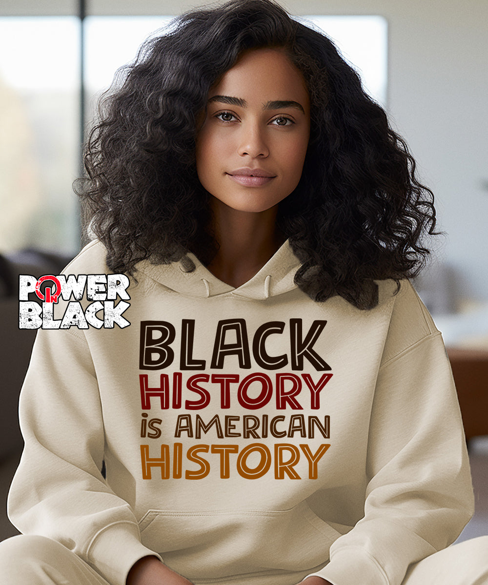 Black History is American History Hoodie