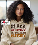 Black History is American History Hoodie