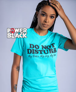 Do Not Disturb